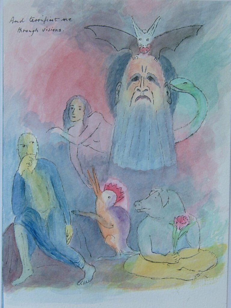 No 11