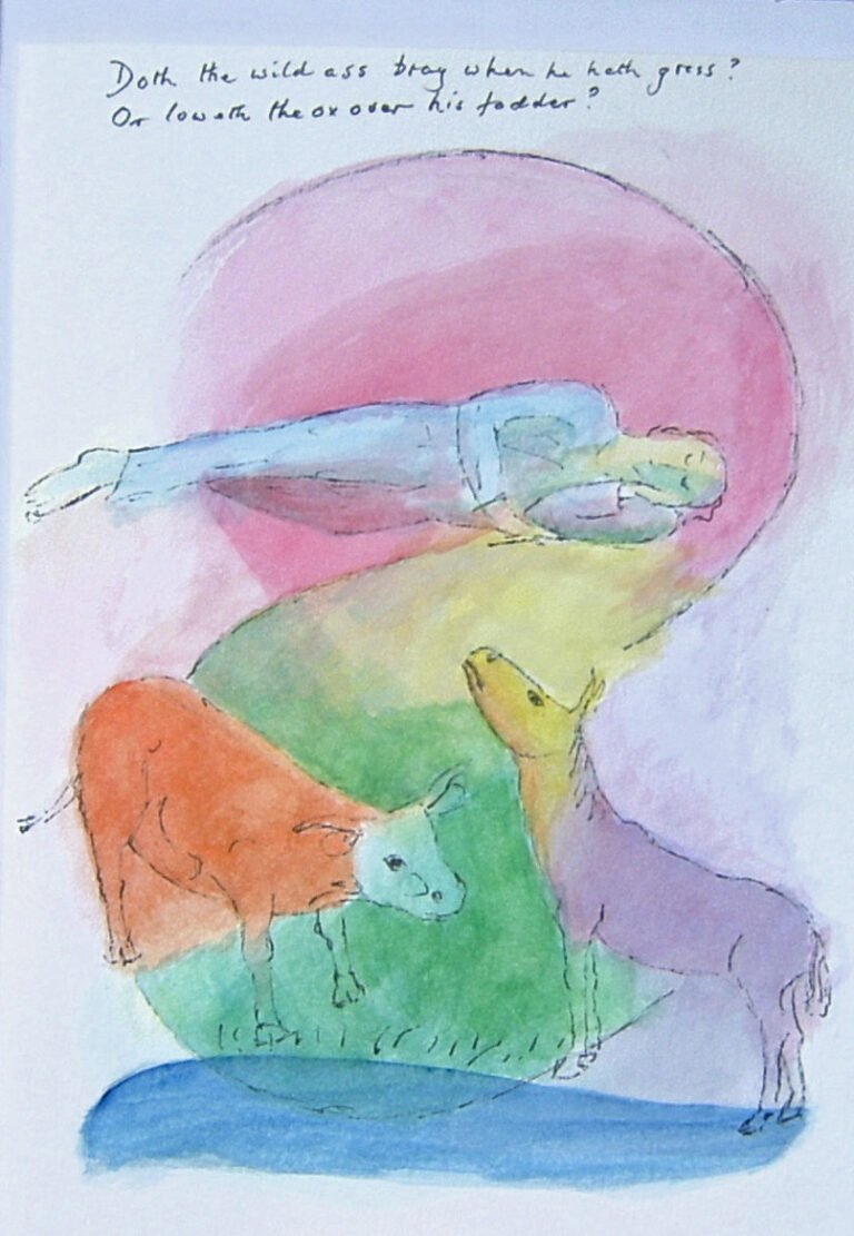 No 9